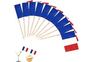MALOUSUN Lot de 100 cure-dents - Drapeau français - Décoration française - Mini décoration de cupcake - Cure-dents avec drapeaux - Pour cocktail, fête, pub - Décoration pour football, coupe du monde de