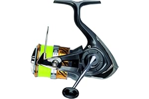 DAIWA 20 Laguna LT, Spinn-Angelrolle, Frontbremse, Vorbespult mit J-Braid X4 Gelb