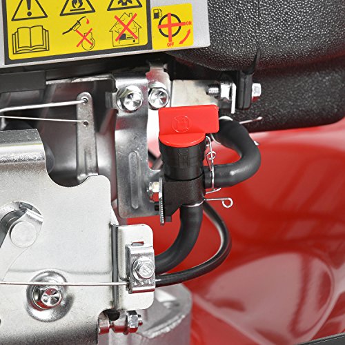 HECHT Benzin-Rasenmäher 5564 SXE Benzin-Mäher + Elektro-Start Funktion (Schnittbreite 56 cm, 70 Liter Fangkorbvolumen, 7-fache Schnitthöhenverstellung 25-75 mm, Radantrieb und Elektro-Start-Funktion) - 5