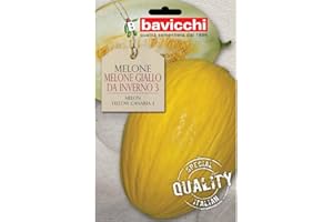 Bavicchi buste semi orto plus (Melone giallo da inverno)
