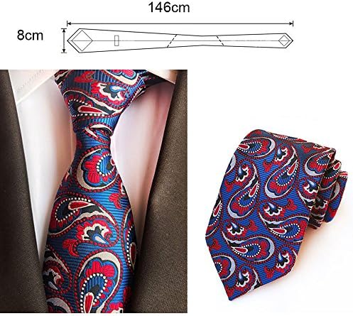 Lebin Men's Fashion Paisley Floral Patterned Handmade Polyester Regular Width Necktie for Wedding Party Formal Occasions (Q)