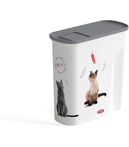 Rotho Cody Récipient Hermétique 10L Pour Aliments Animaux - Noir, Plastique Alimentaire Sans BPA, 24,3 X 17,9 X 32,2 Cm