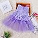 Baby Girls Sleeveless Lace Plain Floral Tutu Dress with Bowknot