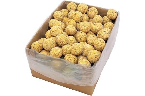 Festnight Boules de Graisse pour Oiseaux Graines pour Oiseaux Sauvages 200 pcs 90 g