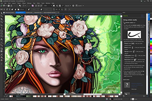 Corel DRAW Graphics Suite 2017 - Software De Dise  o Gr  fico  Upgrade  Ingles
