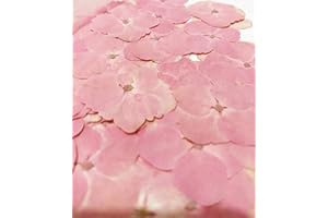 HANDI-KAFU 24 Stück rosa Hortensien echte natürliche getrocknete gepresste Blumen für Harz Kunst Handwerk DIY