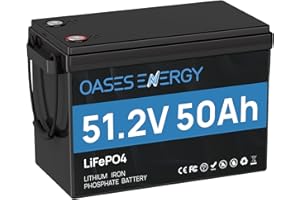 Oasesenergy Batterie au lithium LiFePO4 48 V 50 Ah, mini taille améliorée, 4000 à 15000 cycles, 2560 Wh pour installation solaire domestique, camping-car, camping, bateaux, applications hors réseau