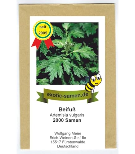 Wermut - Artimisia absinthium (1.000 Samen) : Amazon.de: Garten