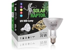 ECONLUX SolarRaptor PAR30 - Faretto HID da 70 W