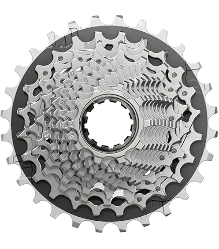 Sram Rival Axs Cassette Xg-1250 d1 12 Speed: 10-3 10-30T, Silver