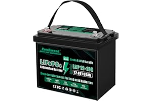 EVEREXCEED Batería LiFePO4 de 12 V 100 AH, batería LiFePO4 con celda LiFePO4 de grado A, protección de corte de baja temperatura, batería de litio de 12 V integrada de 100 A BMS, hasta 15000 ciclos profundos