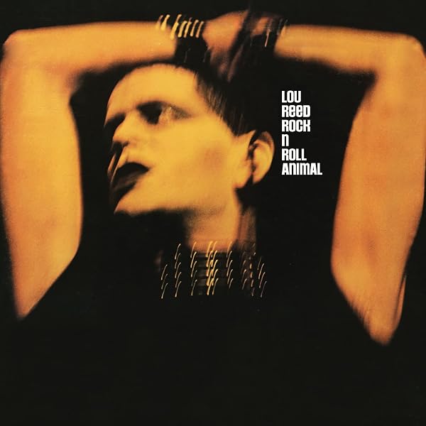 Lou Reed - New York 3 Cd + Dvd + 2 Lp): Lou Reed, Lou Reed: Amazon