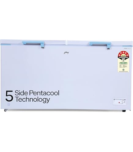 Godrej 302 L Double Door Deep Freezer (DH EPenta 325E 2HCN RW