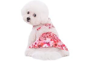 BT BEAR Bikini pour chien - Maillot de bain avec fleurs - Robe de plage d'été - Vêtements pour chat et chiot de petite taille (taille M, fleur rose)