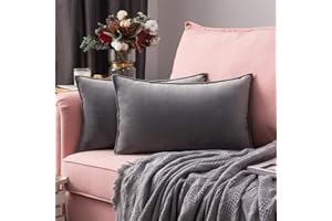 MIULEE 2er Set Samt Kissenbezug Flansch Kissenhülle Dekorative Sofakissen Dekokissen Umwickelte Kante Kissenbezüge Zierkissenbezug für Sofa Wohnzimmer Schlafzimmer 40x60 cm Hellgrau