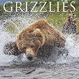 Grizzlies 2020 Wall Calendar by 
