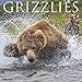 Grizzlies 2020 Wall Calendar by 