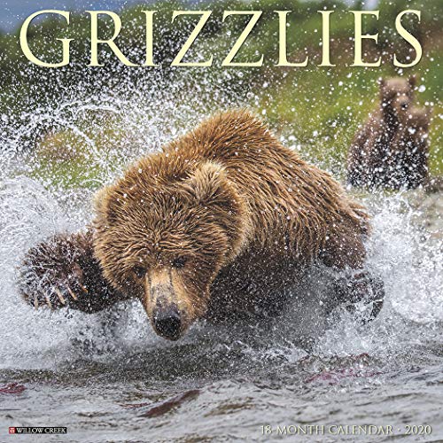 Grizzlies 2020 Wall Calendar