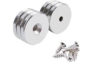 OCEUMAOA Magneti Potenti Calamite Circolare con Foro Svasato Calamita Neodimio 30x5mm Buco 5mm Magnete Piccole Forati Vite Rondelle Base per Frigorifero Rotonde Industrial science 6 Pezzi