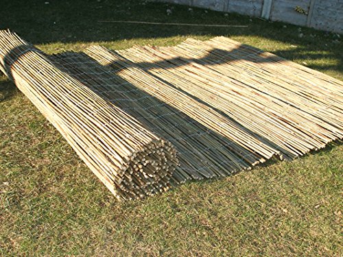 Sichtschutz aus Bambus 1m x 4m - 5