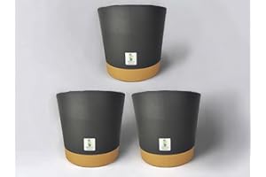 Mima Tus Plantas Macetero con Plato Incorporado (Gris Pack 3 Maceteros, 25 cm x 24 cm x 21.5 cm)