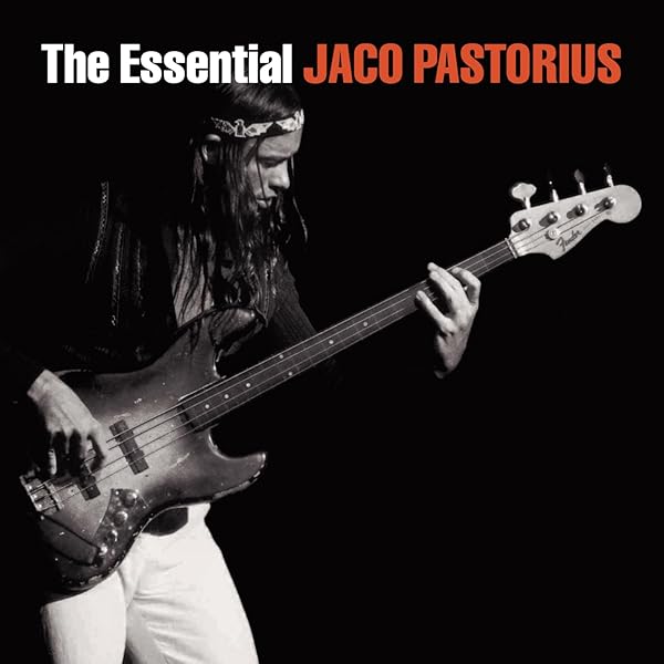 その他 Jaco Pastorius 20th Anniversary Doll その他 Jaco Pastorius 20th Anniversary Doll Yahoo!オークション