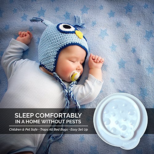 ORIGINAL Aspectek Bettwanzenfalle gegen BETTWANZEN u. Ungeziefer, vertreiben Sie EINFACH u. ZUVERLÄSSIG aus MATRATZEN u. BETTEN, voll BIOLOGISCH OHNE CHEMIKALIEN, nie mehr Bettwanzenspray - 7