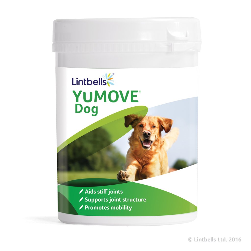 Lintbells YuMOVE Dog supplement for stiff and older dogs, 300 tablets