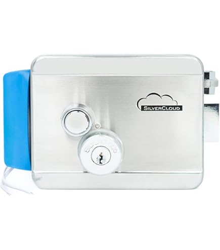 Elettroserratura Dx Cisa 11731 Serratura Elettrica Per Cancello 60 Mm - Foto 9