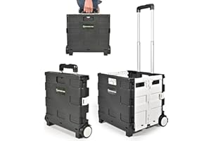 NORTHERN STONE Carrello Pieghevole per Spesa, Carrello Portabagagli con Manico Telescopico Regolabile in Alluminio, Trolley Pieghevole per Shopping, Giardino e Campeggio (D'argento)