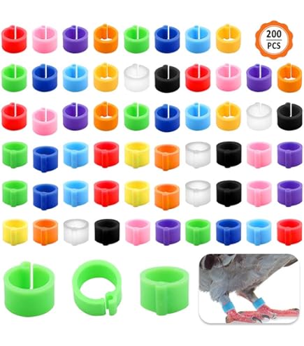 Lot De 200 Bandes De Pattes De Caille, Anneaux De Pattes D'oiseaux, Bandes D'identification De Poulet Pour Bantam Pinson, Colombe, Inséparable, Caille