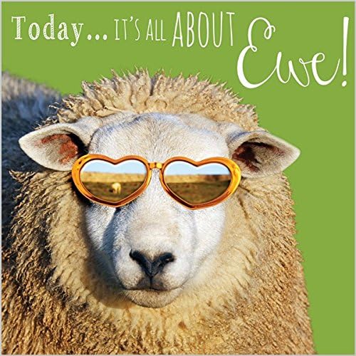 Photographic Greeting Card (ABA4256) - Birthday - All About Ewe