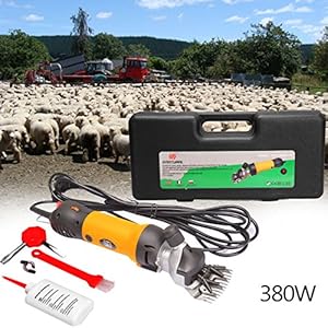 [Gesponsert]Iglobalbuy 380W elektrische Schafscheremachine Schafschere Set für Schafe Fellpflege