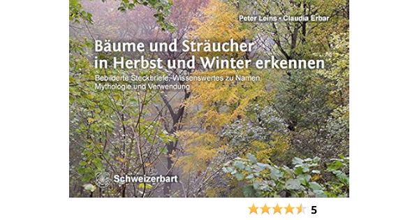 Baume Und Straucher In Herbst Und Winter Erkennen Bebilderte Steckbriefe Wissenswertes Zu Namen Mythologie Und Verwendung Amazon De Leins Peter Erbar Claudia Bucher
