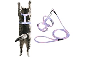 MOTIBACK Escape Proof Cat Harness and Lead Set - Adjustable Kitten Harness with 125cm Leash, Soft Rainbow Gradient Purple Pink Harness for Outdoor Walking