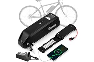 EIFDUHP Batteria Ebike 48V 15AH, Batteria Litio Bici Elettrica per 1000W 750W 500W 350W 250W Motore Bicicletta, con Porta USB, Caricabatterie, Piastra Base 5 Pin e Cella Grado A