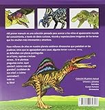 Image de Dinosaurios (Mi Primer Manual)