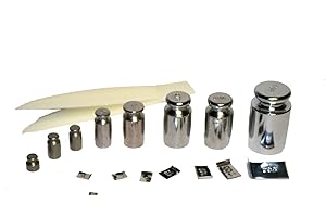 DIPSE Poids d'étalonnage pour balances numériques - 100 grammes - chrome - pour calibrer les balances, Gewichte-Set, 1