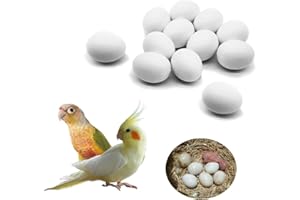 FOIBURELY 12 Pcs Solid Parrot Dummy Eggs Hatching Eggs Green Cheek, Lorikeet&Ringneck Dove, Quaker, Cockatiel. Trick The Birds to Stop Laying Eggs, Dummy Eggs