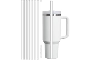 DealKits 6x Cannucce Riutilizzabili compatibile con Stanley Cup 40 oz, con 1 Spazzola per la Pulizia, Materiale Tritan, senza BPA, Cannucce di Ricambio, Cannucce Trasparenti (30 cm)