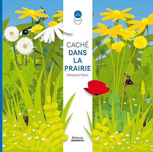 couverture de : Caché dans la prairie