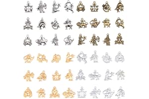 HAOHAI 12 piezas de 12 constelación tema encantos signos del zodiaco conjuntos colgantes para hacer joyas DIY Pulsera Colgante