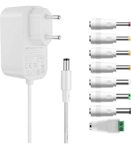 TOP CHARGEUR ® Adattatore Caricatore Caricabatteria Alimentatore 12V 5V 2A 4 Pin per Disco