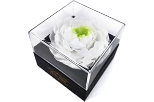 Kylin Glory Fresh Cut Flower Preserved Peony for Women Mom Wife Girlfriend - Flower Gift Real Peony Decor for Mother's Day Valentine's Day Wedding Party Celebration Birthday Anniversary (White Fairy)
