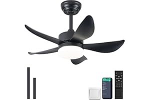 RHEAFON Ceiling Fans with Lights and Remote,30 Inch Smart Ceiling Fan,Reversible,Noiseless,Black l Ceiling Fan Light 6 Speeds & Timer Ultra-Quiet for Bedroom Living Room Kitchen Indoor/Outdoor Patio