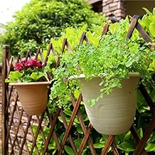 Suchergebnis auf Amazon.de für: zaun pflanzen