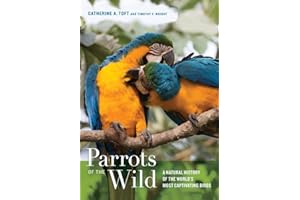 Parrots of the Wild: A Natural History of the World's Most Captivating Birds