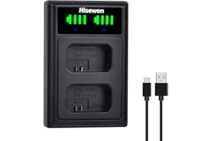 NP-FW50 NPFW50 Chargeur de Batterie Hisewen Dual Chargeur Compatible avec Sony ZV-E10/A6000/A6100/A6300/A6400/A6500/A7/A7 II/A7S/A7S II/A7R/A7R II/NEX-7/NEX-6.