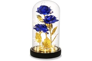 DREAM OF FLOWERS Cadeau Fete des Meres Femme Rose Eternelle sous Cloche, La Belle et la Bête Rose en Verre avec Lumières LED Pine Base pour Fête des Mères Saint Valentin Décorations Anniversaire Mariage Maison (Bleu)