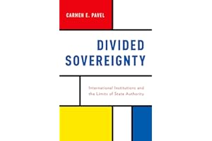 Divided Sovereignty: International Institutions and the Limits of State Authority